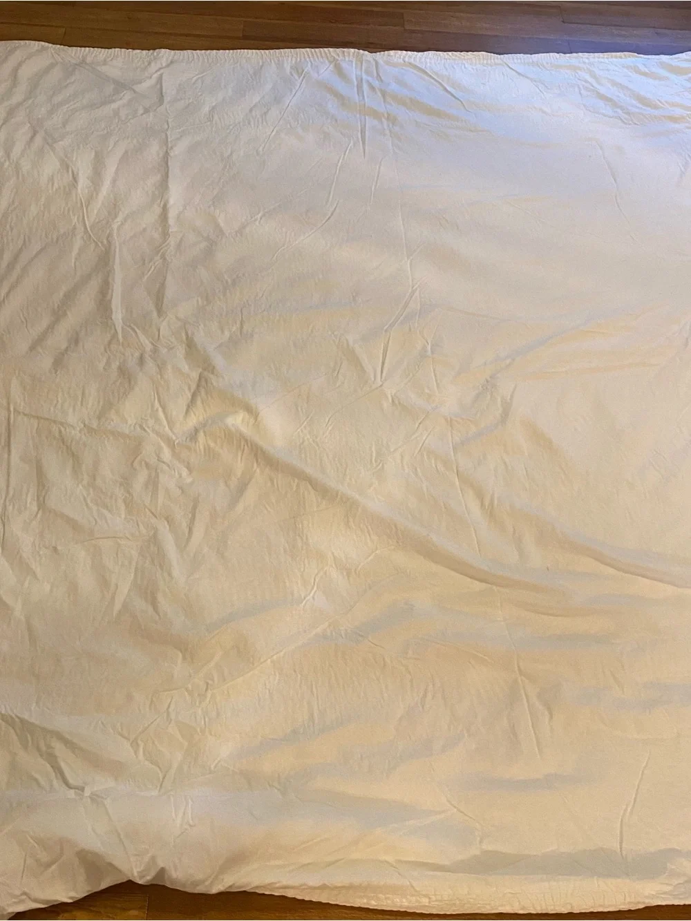 West Elm TRAILING FERN MATELASSE Duvet Cover Full/Queen In Ivory & 2 Euro Shams